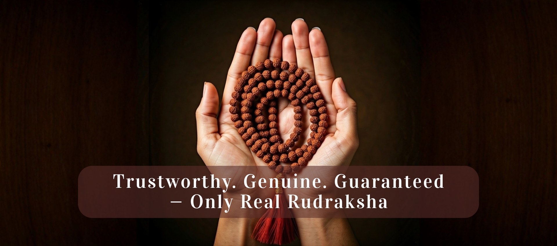 Certified and Authentic Rudraksha
